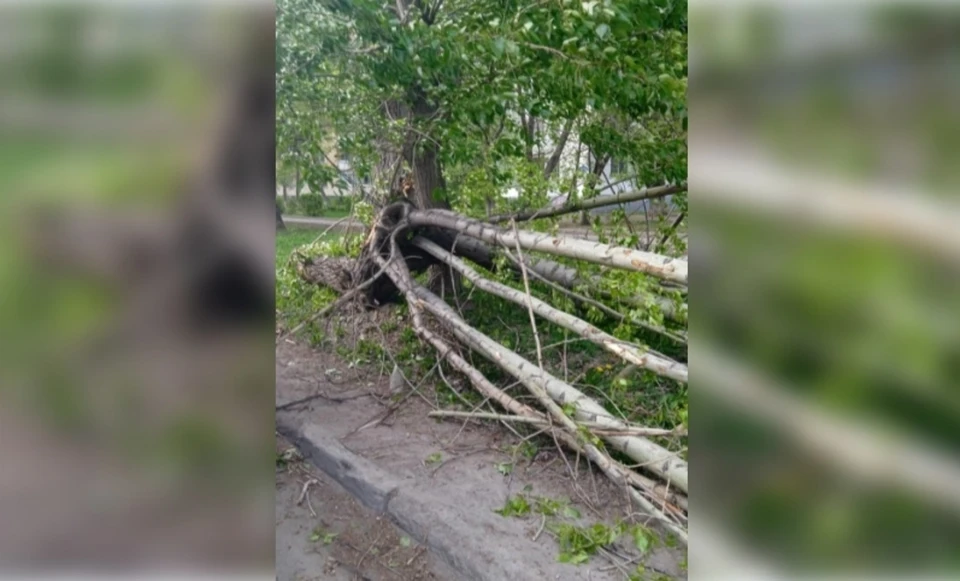 Фото: пресс-служба УГЗ Уфы