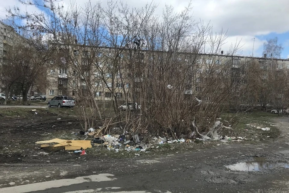 В Новосибирске ветер разнес мусор по Кировскому району.