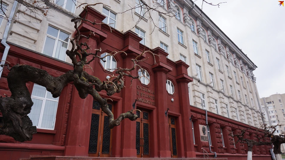 Глава Антикоррупционной прокуратуры положила глаз на здание Академии наук в центре Кишинева