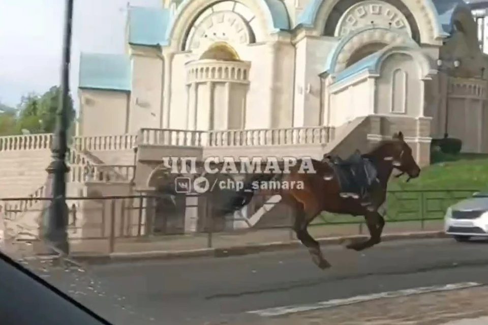 За сбежавшим животным поспешила другая полицейская лошадь. / Фото: t.me/chp_samara