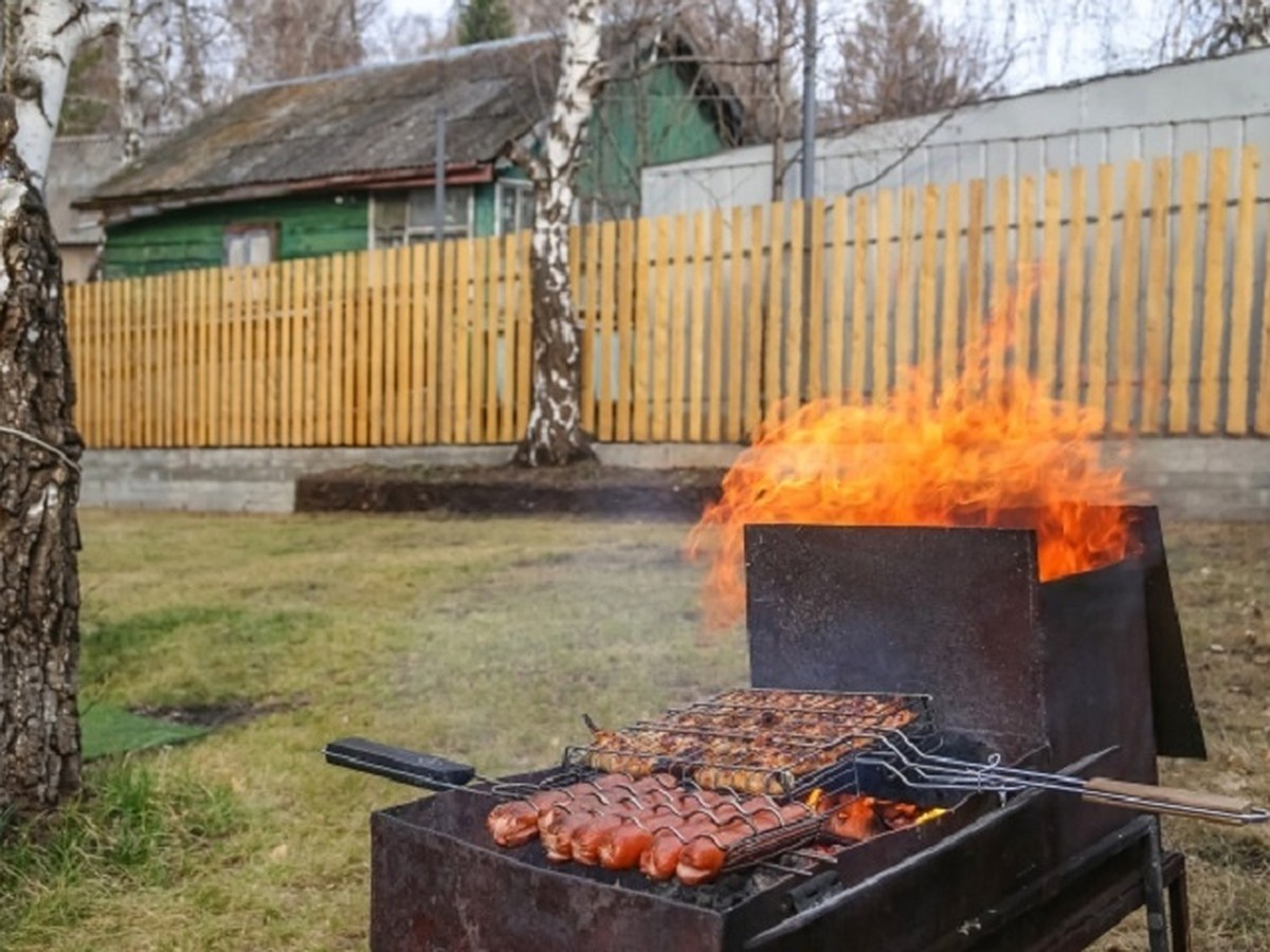 Как правильно выбрать место для жарки шашлыков и обустроить мангальную зону  на даче в Перми - KP.RU