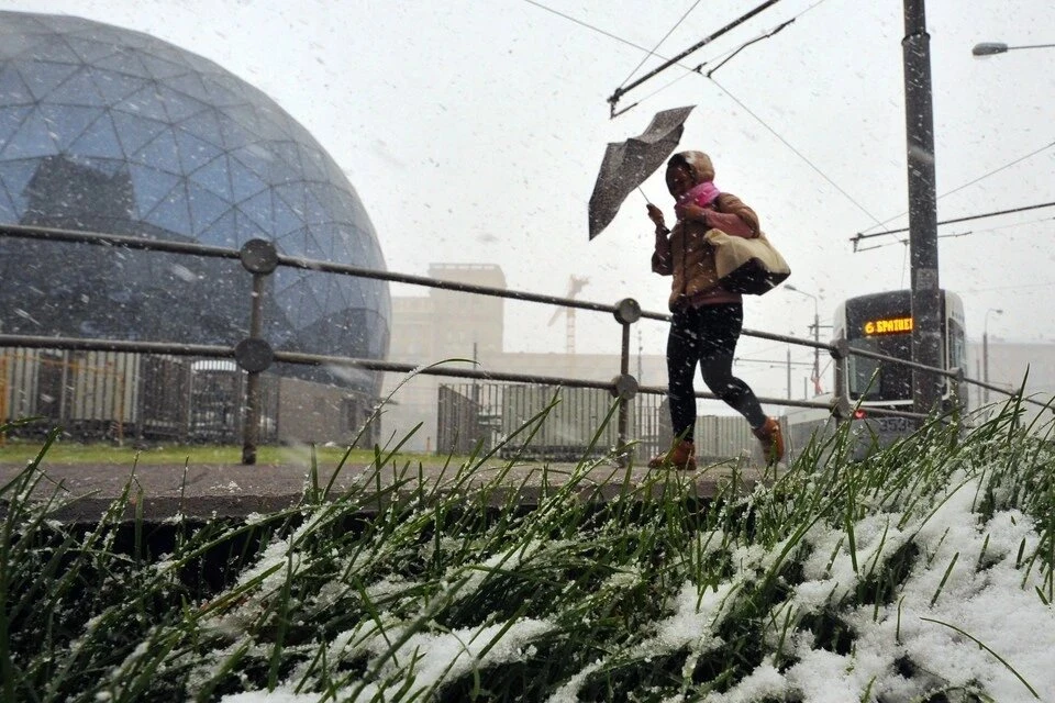 Синоптик Леус: 85% территории европейской части России накрыли заморозки