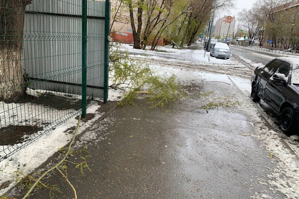 Последствия мощного майского снегопада в Тюмени