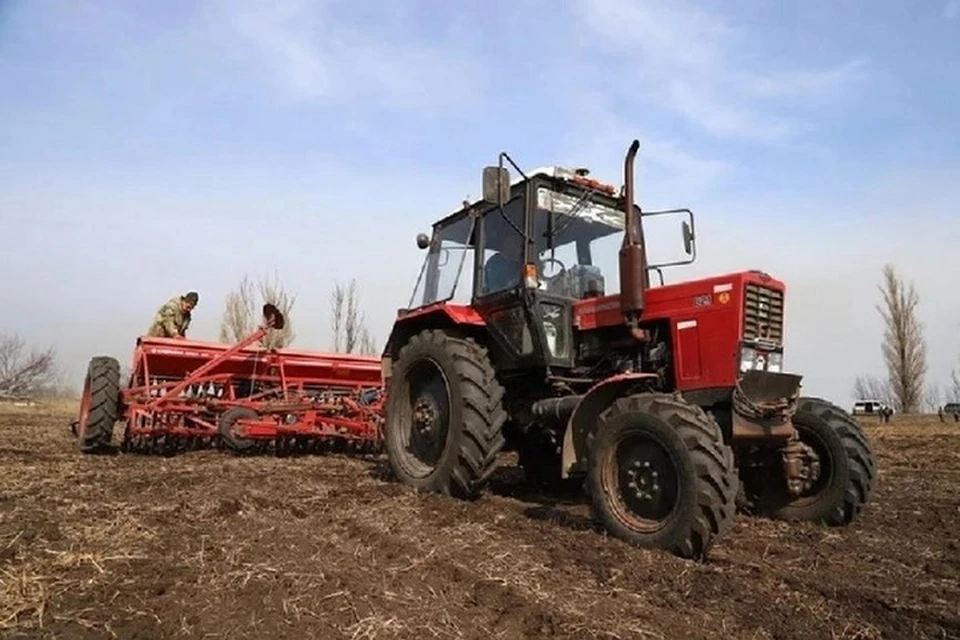 Аграрии ДНР приступили к севу поздних зерновых и технических культур