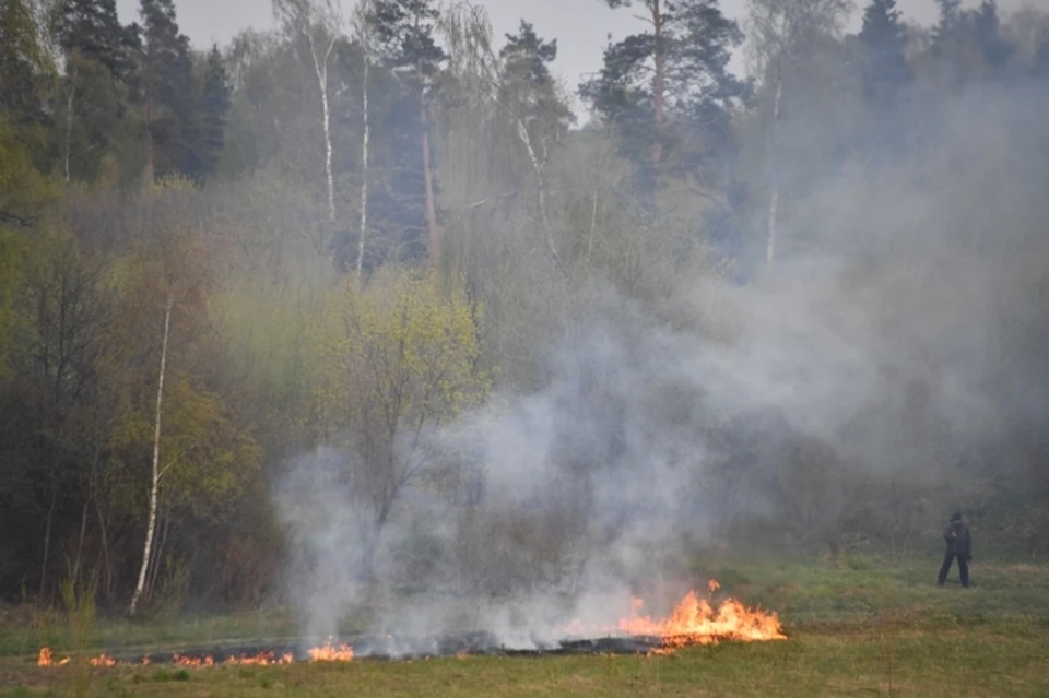 Существует вероятность возникновения пожаров в природных экологических системах