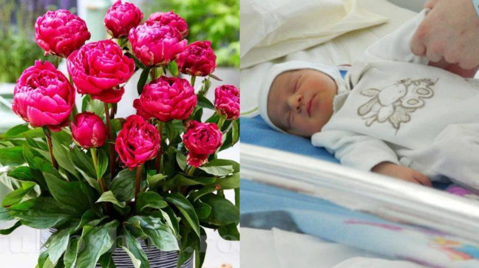 Трое мальчиков и девочка родились в Пасхальную ночь в больнице «Георге Палади».