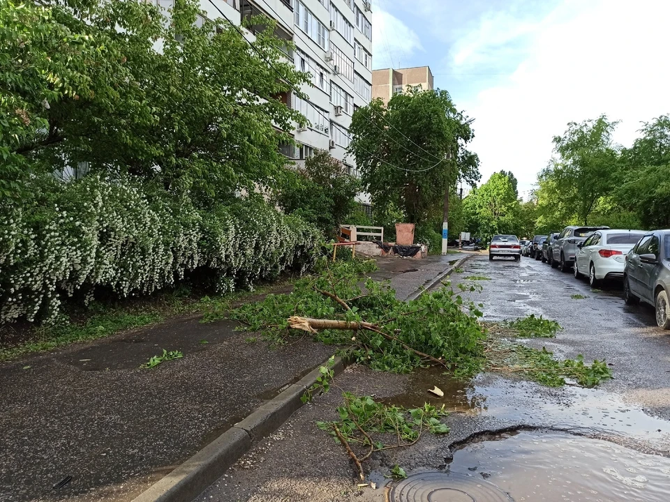 О непогоде заранее предупреждали синоптики и спасатели