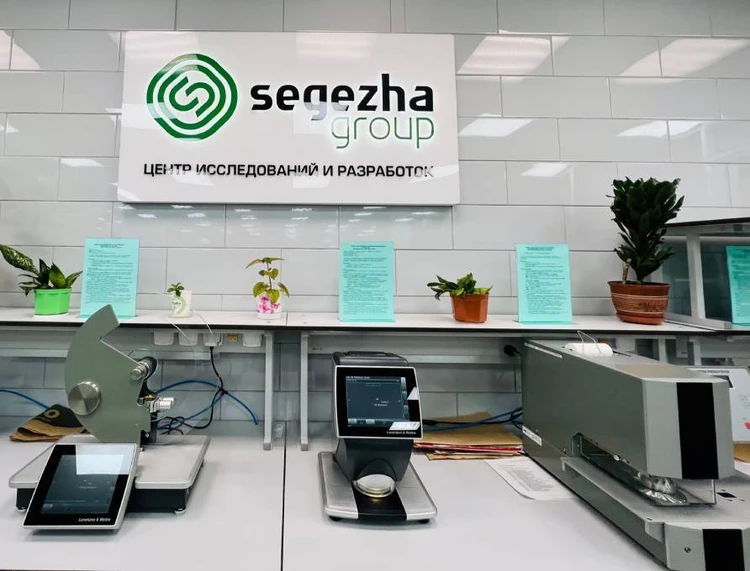Segezha Group подаст документы на КЭР для Сегежского ЦБК  уже в июне
