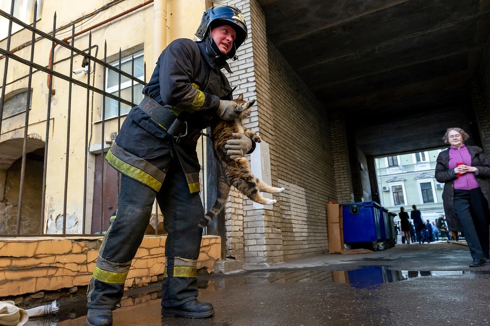 Пожар произошел в квартире на Кирилловской улице утром 9 мая.