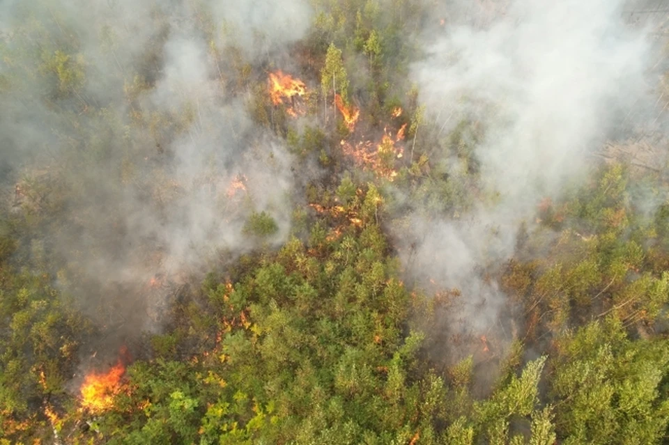 60 тонн воды сбросили пожарные на пал в Хабаровском крае