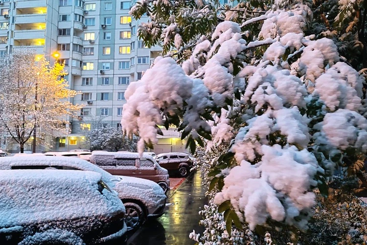 Россия попала в «мешок холода»: Майская зима продлится ещё как минимум неделю