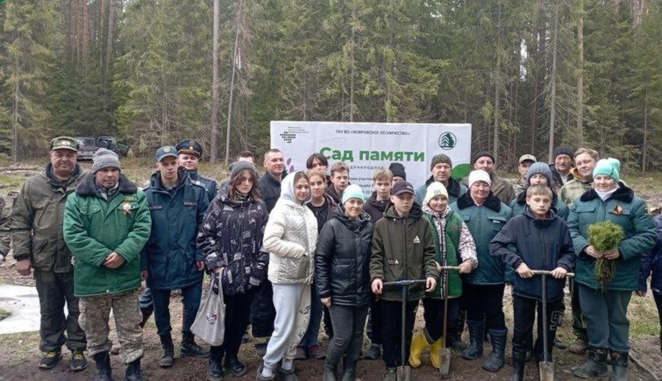 .Правительство Владимирской области