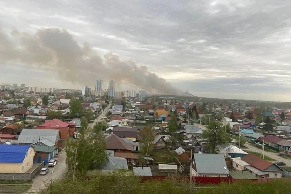 В Новосибирске раскрыли результаты проб воздуха после пожара на Хилокском полигоне. Фото: Ирина ГАМОВА.
