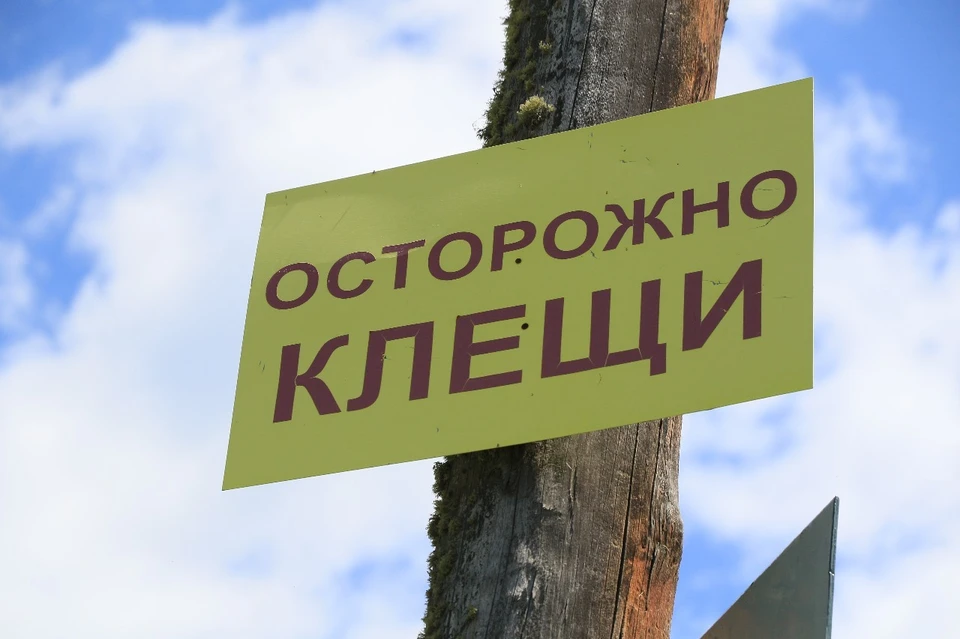 С начала сезона с жалобами на укусы кровососов обратились 2381 человек