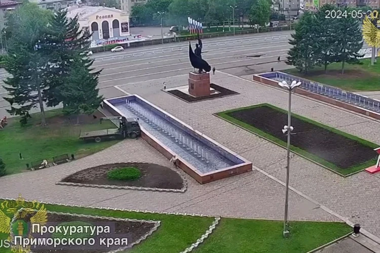 Люди разбегались в панике: грузовик вылетел на центральную площадь Уссурийска и разгромил фонтан