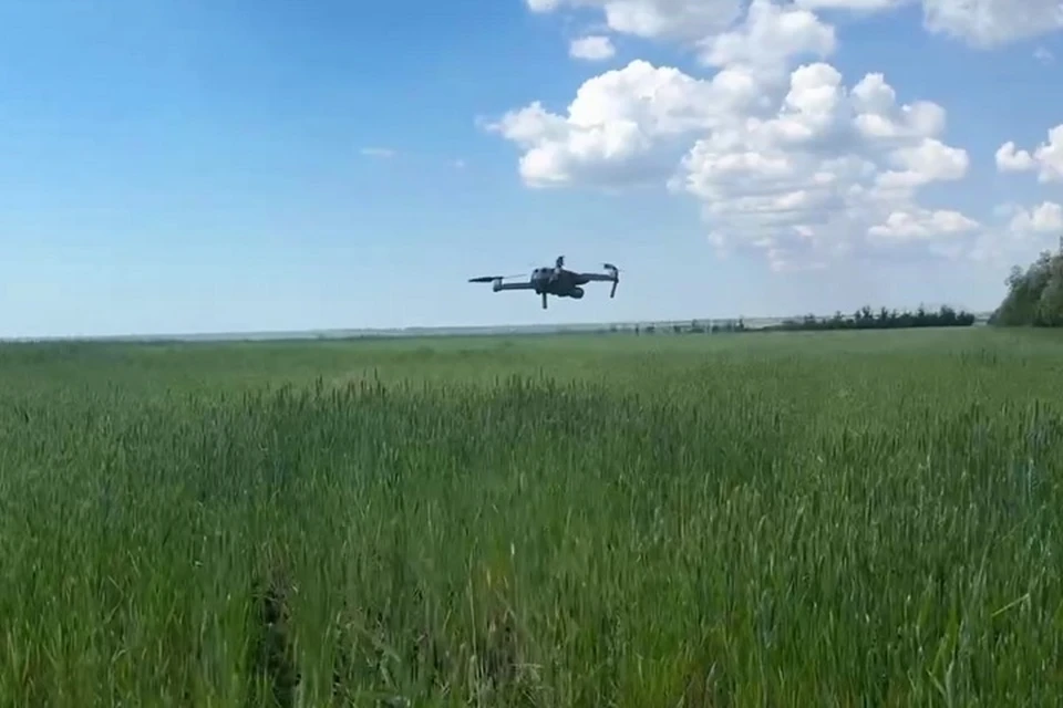 В ДНР проводится системный мониторинг состояния посевов при помощи БПЛА. Фото: ТГ/Крамаренко