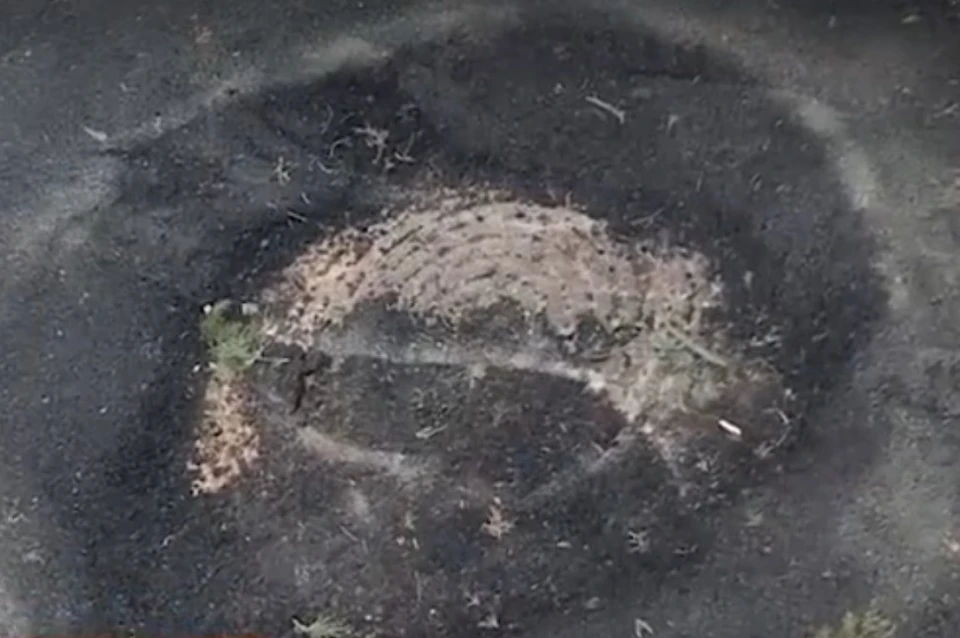 Фото: кадр видео «Крым 24»