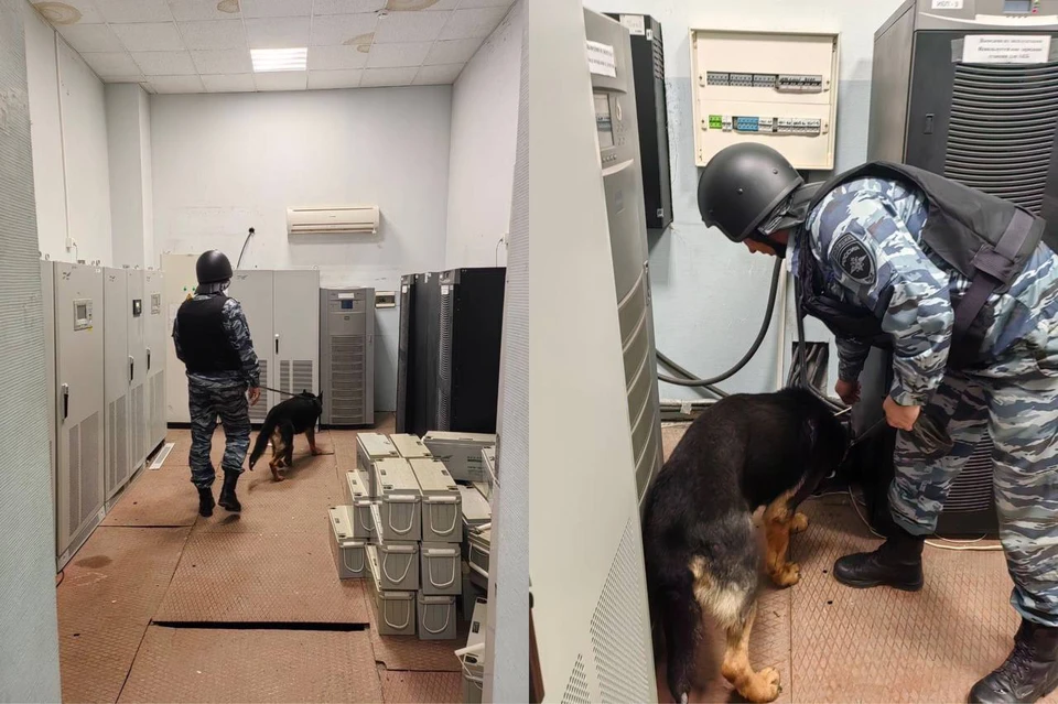 Силовики успешно выполнили все поставленные задачи на территории предприятия