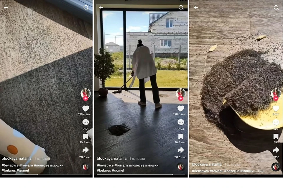 Мошки заполнили дом белоруски - видео взорвало интернет. Фото: стоп-кадр | видео TikTok @blockaya_natallia.