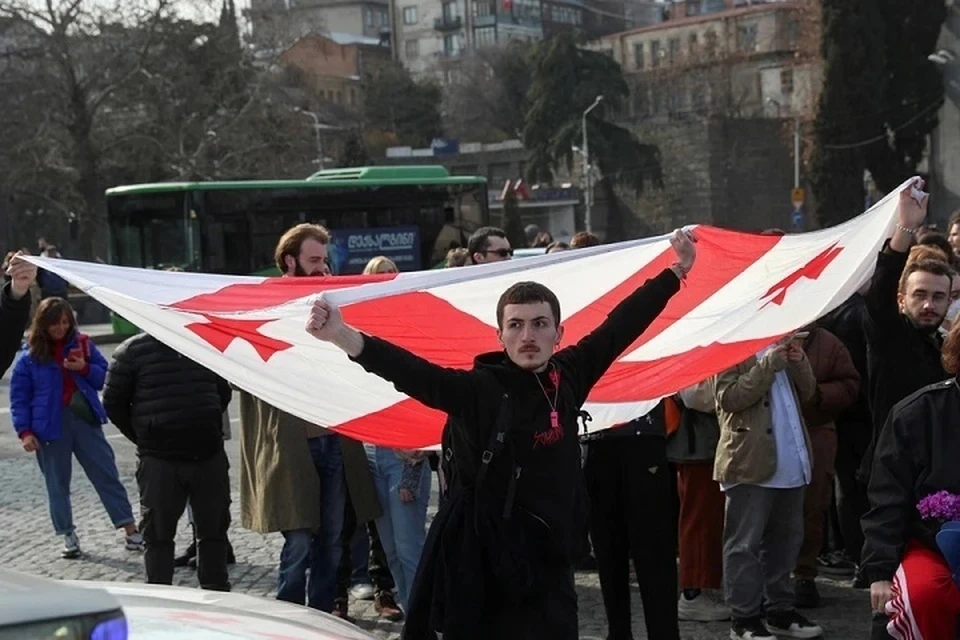 Комитет парламента Грузии поддержал преодоление вето на закон об иноагентах