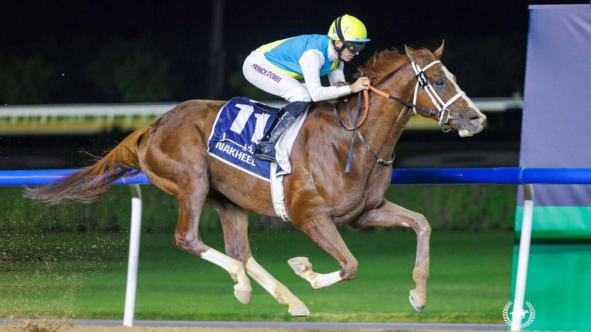 Тек сексуалдық секс Қатты порно ойындар