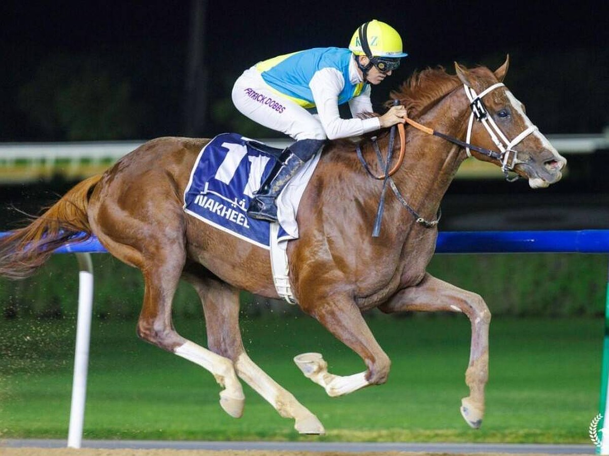 Қарт адам қыздың жыныстық қатынасын трахает етеді