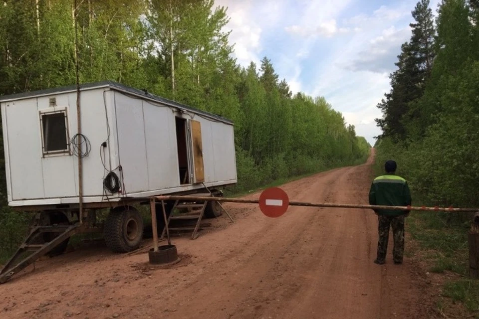 Посещение лесов будет грозить штрафом до 50 тысяч в Иркутской области