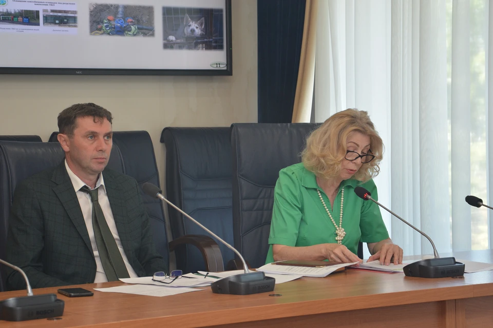 Основную часть денег из казны Воронежа в 2023 году, по данным Елены Муромцевой, потратили на образование и городское хозяйство.