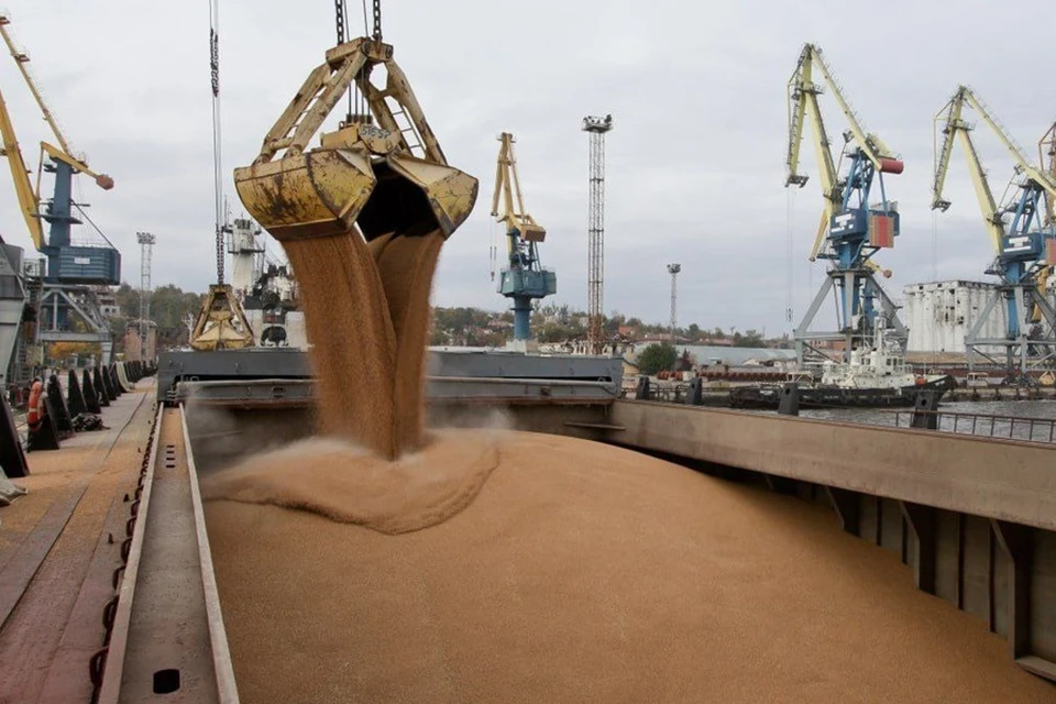 Мариупольский порт отгрузил партию зерна объемом 7400 тонн. Фото: Минтранс ДНР