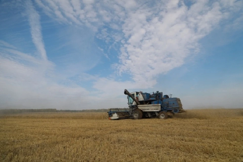 С января 2024 года ЛНР экспортировала в другие регионы свыше 200 тысяч тонн зерна пшеницы на продовольственные цели