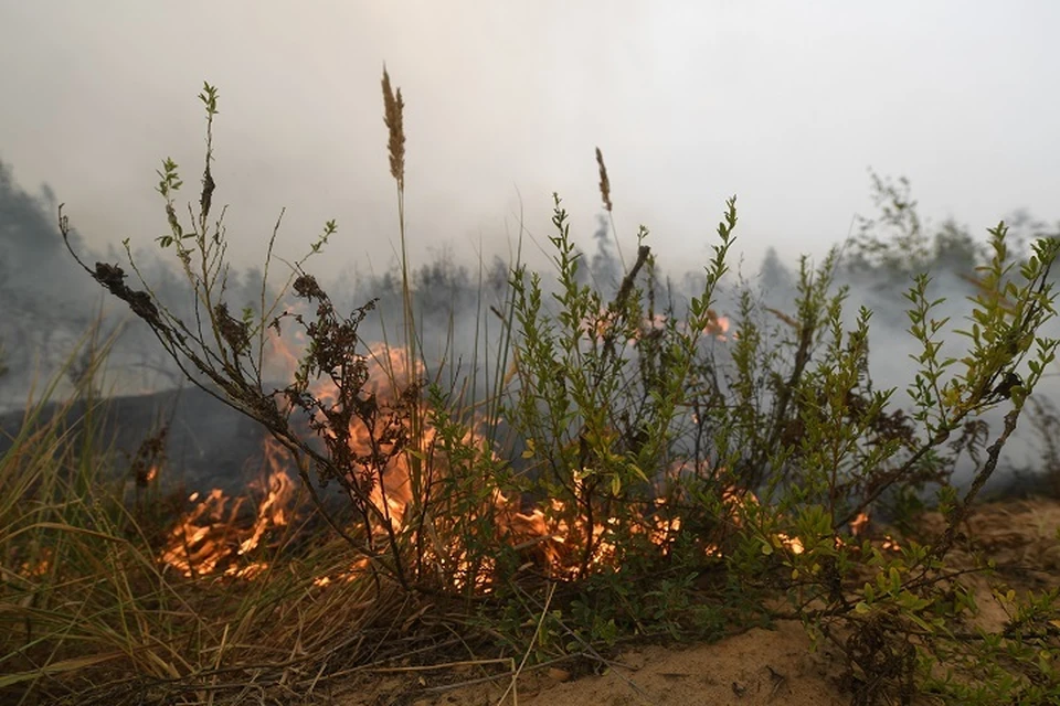 Пожарные отстояли дома от огня в Магаданской области