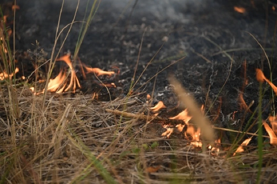 16 пожаров произошло на территории ЛНР 31 мая