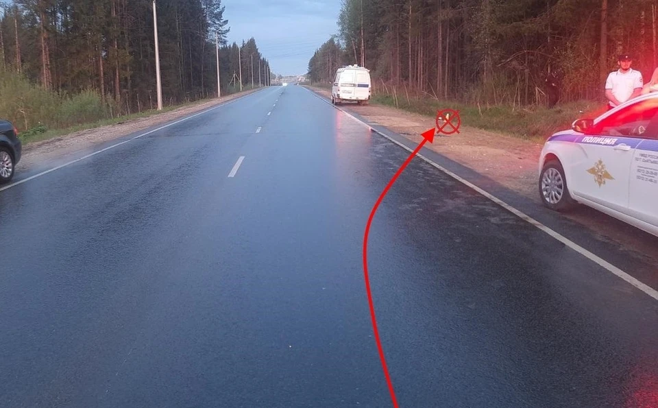 Фото: ГИБДД по Коми