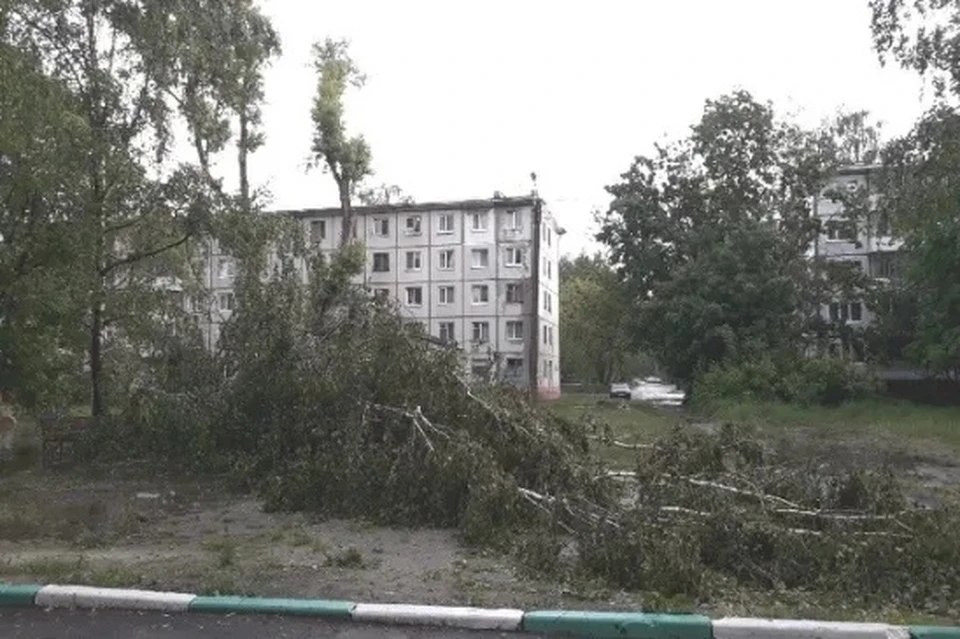 Фото: Надежда ПЕТРУНИНА.