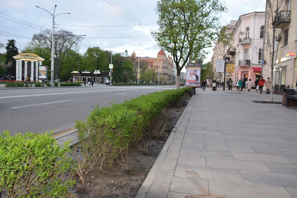 В Ростове-на-Дону улица Большая Садовая попала в топ-5 дорогих торговых улиц
