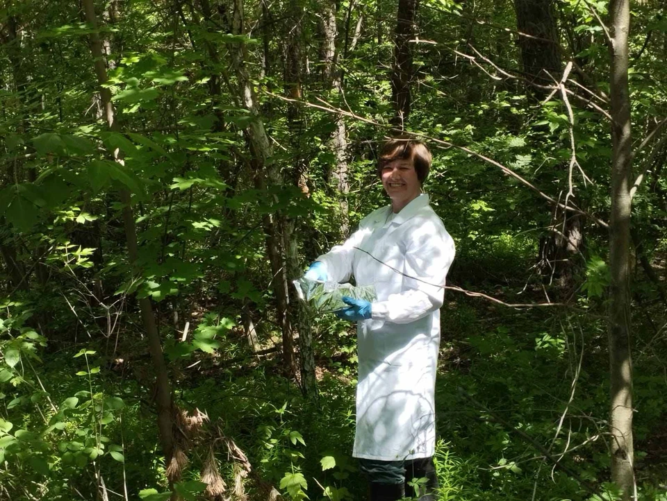 В ульяновских лесах раскладывают приманки с вакциной от бешенства для плотоядных животных. Фото Симбирский референтный центр ветеринарии
