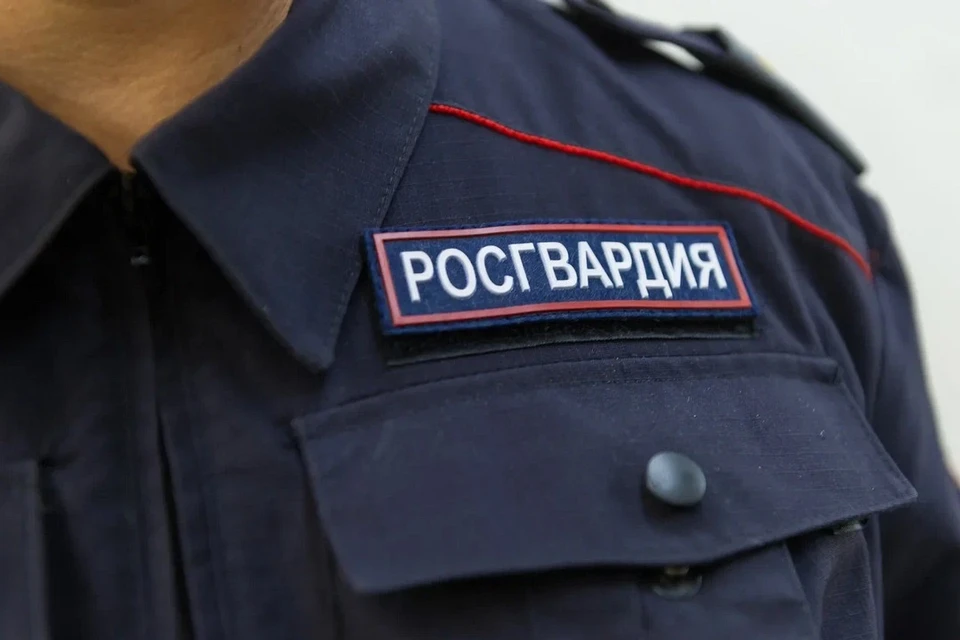Росгвардейцы нашли потерявшуюся в Петербурге 88-летнюю женщину.