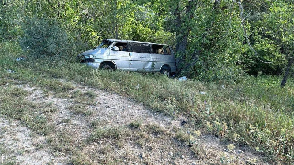 Микроавтобус врезался в дерево, водитель погиб на месте. Фото: pulsmedia.md.