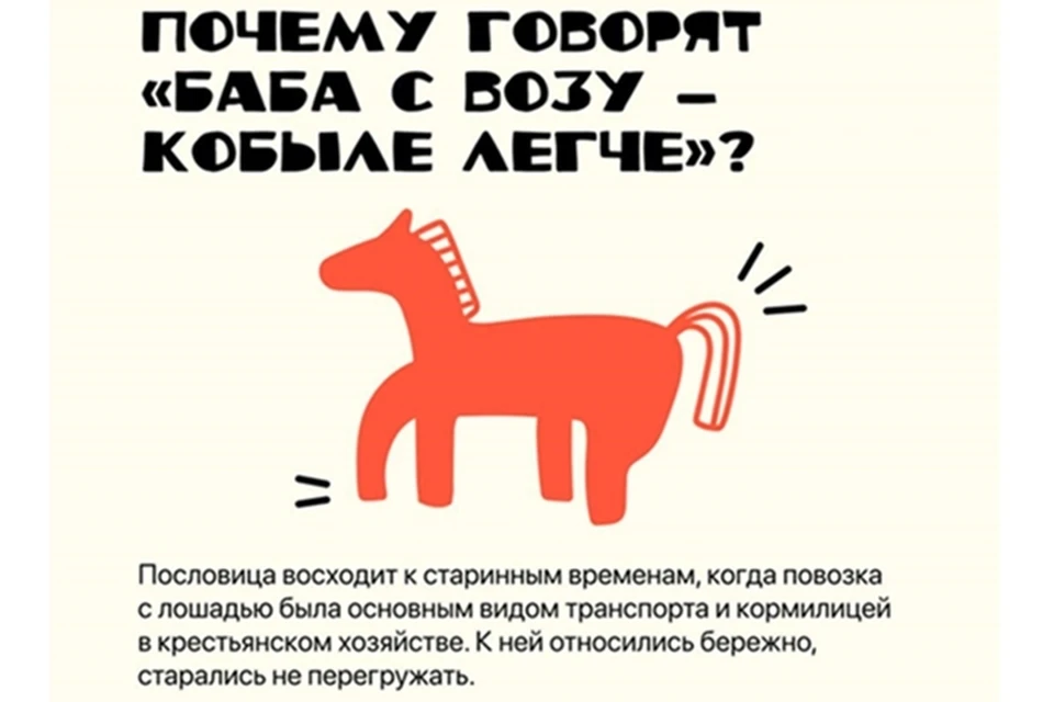 Запланированы прямые эфиры о происхождении русского языка и его истории. Фото: Одноклассники.