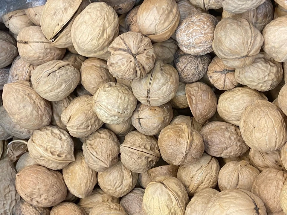 В Тюменской области продавец грецких орехов пытался дать таможеннику полмиллиона