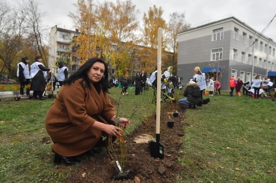 Дерево дружбы посадил в Китае мэр Хабаровска