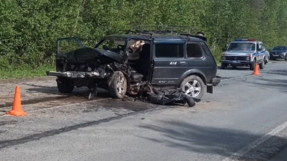 Два водителя погибли на месте, трое пассажиров серьёзно пострадали: стали  известны подробности смертельного ДТП в Коми - KP.RU