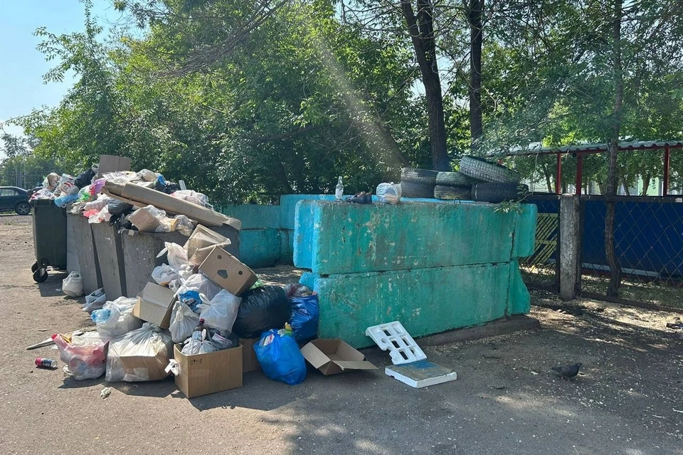 В Красноярске крыса напала на ребенка на территории детского сада. Фото: прокуратура