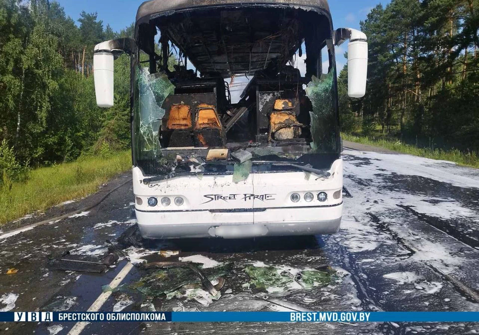 Пожар ликвидировали, никто не пострадал. Фото: УВД Брестского облисполкома.