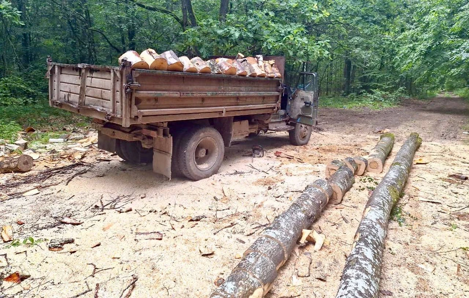 Фото: Минприроды региона.