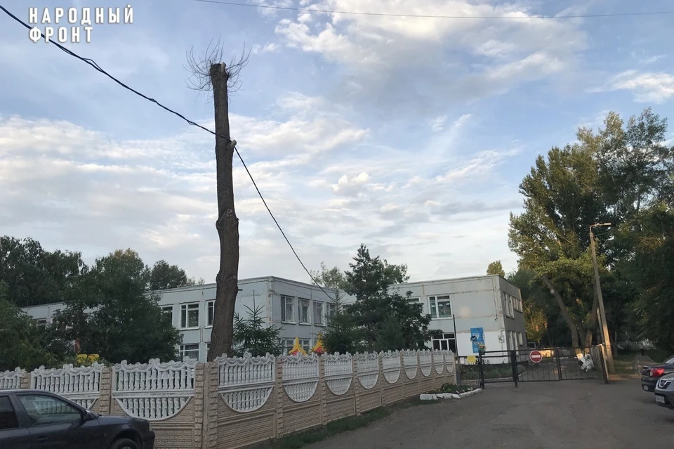 По всей видимости, сделано это для того, чтобы ЛЭП не штормило во время ветра или урагана. Фото: народный фронт Оренбургской области