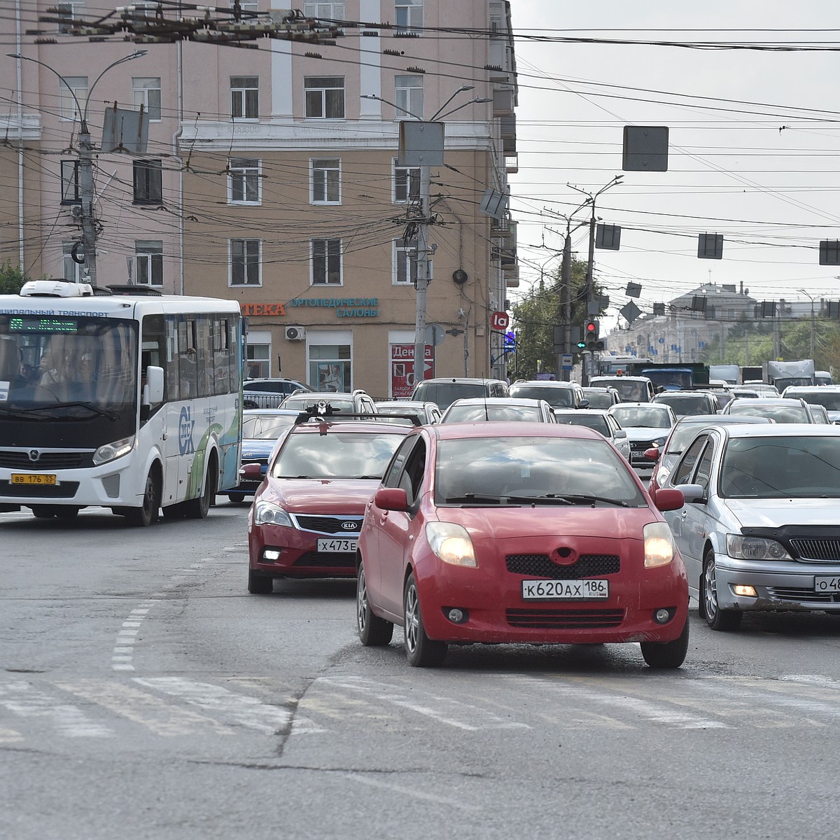 Омичей развезут по домам на автобусах после бесплатного концерта Mia Boyko  - KP.RU