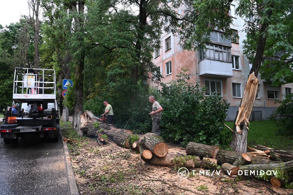 Устранениями последствий непогоды занимаются три бригады Белгорблагоустройства. Суммарно 12 человек.