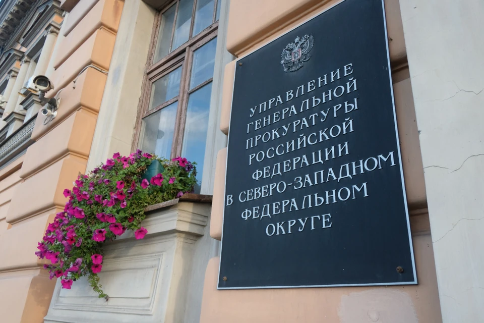 Сообщники занимались незаконной деятельностью на протяжении восьми месяцев.