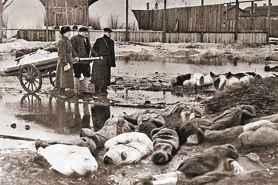На улицах Ленинграда люди падали и умирали от голода уже в первый год блокады - фашисты воплощали «план Бакке». Фото: Борис КУДОЯРОВ/РИА Новости